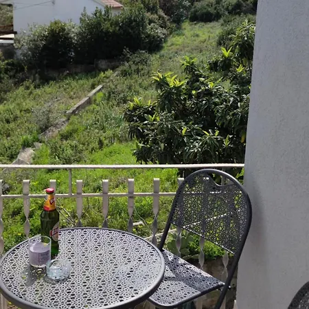 Kalff * 特罗吉尔